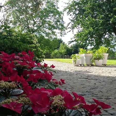 Country House Clos Des Hortensias Blegny Extérieur photo