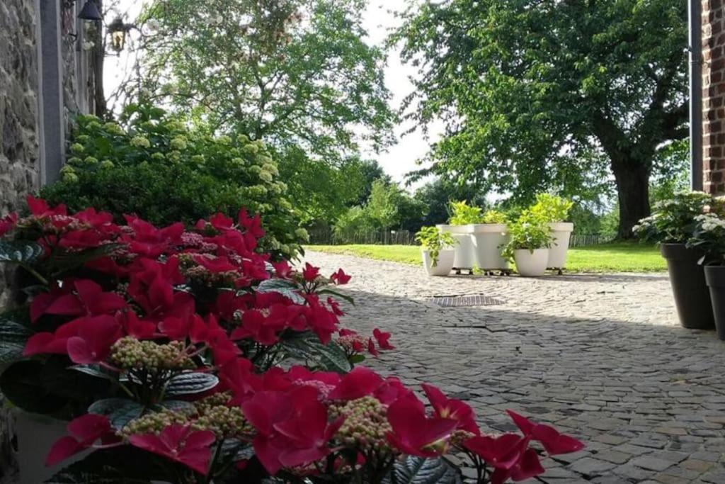 Country House Clos Des Hortensias Blegny Extérieur photo