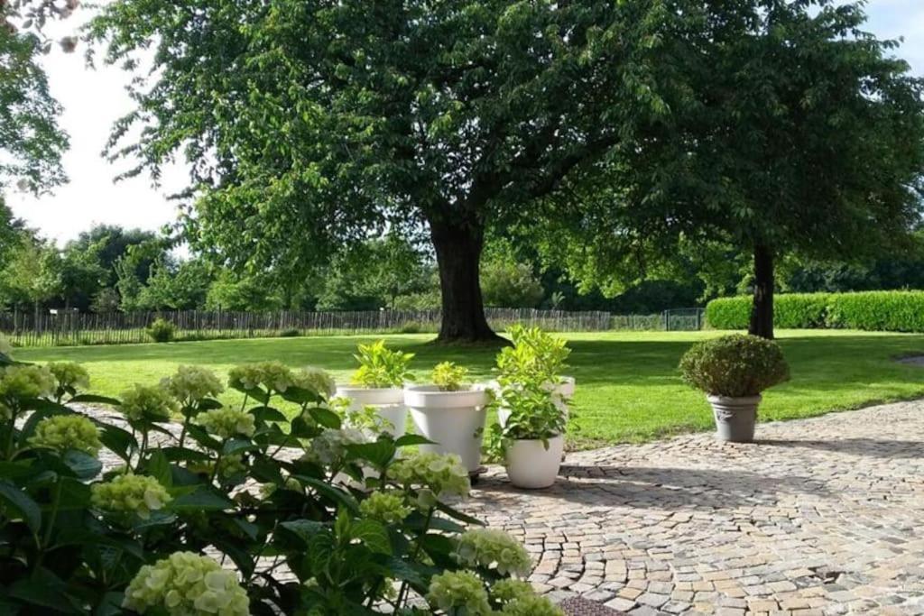 Country House Clos Des Hortensias Blegny Extérieur photo