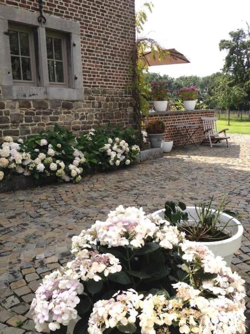 Country House Clos Des Hortensias Blegny Extérieur photo